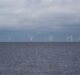 Total, Iberdrola to jointly bid for Danish offshore wind farm Thor